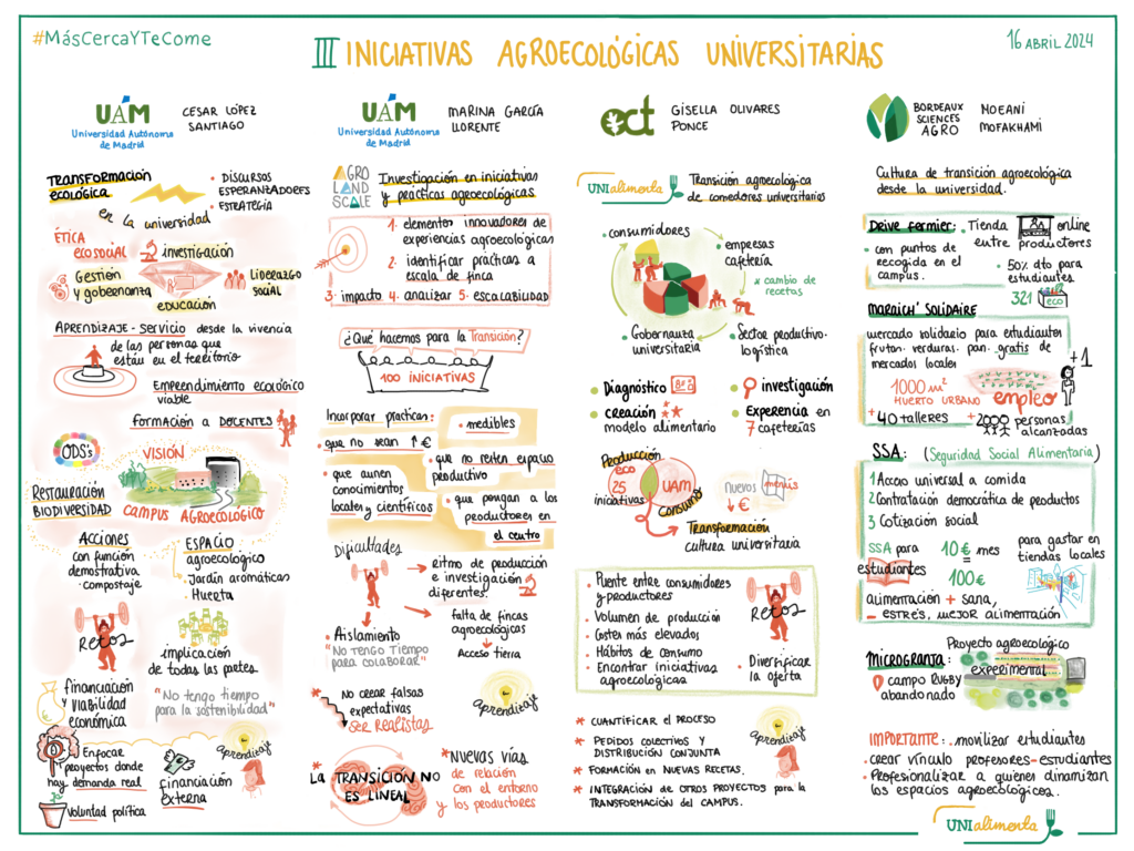 infografia webina3