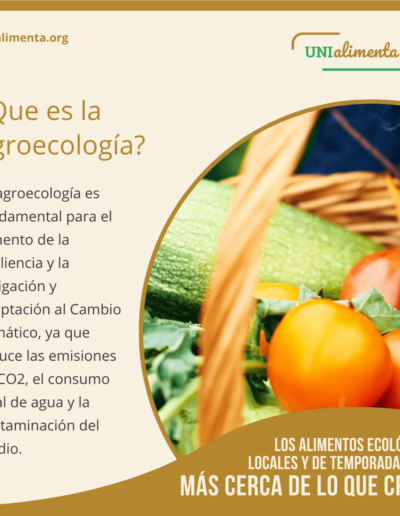 Agroecologia Unialimenta