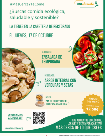 26. Rectorado