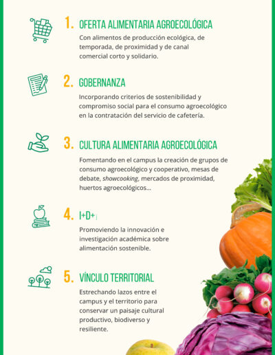 UNIALIMENTA ROLLUP